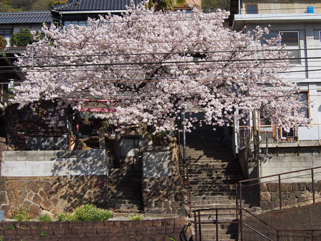 尾道市