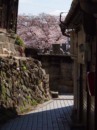 尾道市