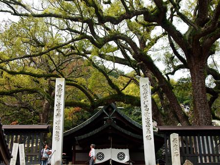 尾道市