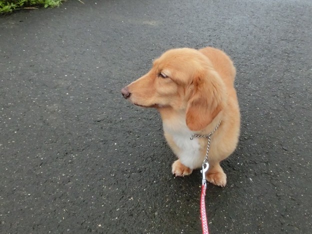 止んだ