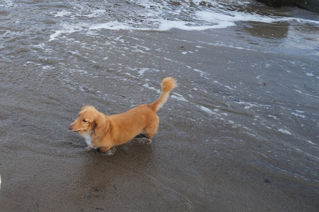 海の日
