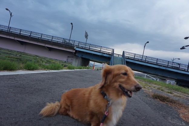 夕暮れ時