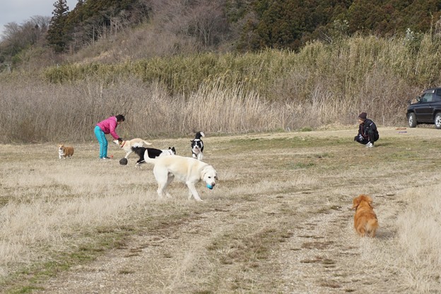 川原で遊ぶ