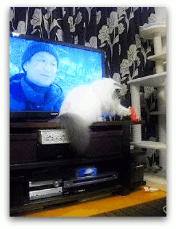 動く2 写真: 動く2