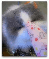 2.2動く012-001 写真: 2.2動く012-001