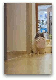 動く001 写真: 動く001