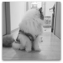 0102動く 写真: 0102動く