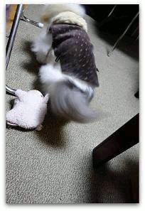 動く041 写真: 動く041