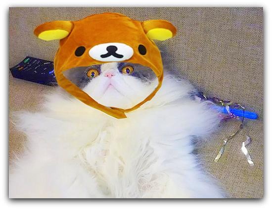 ビックリくうちゃん