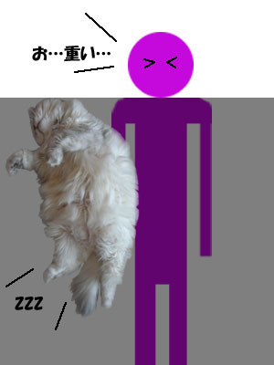 11011502