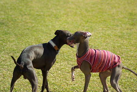 1024-IMGP5975