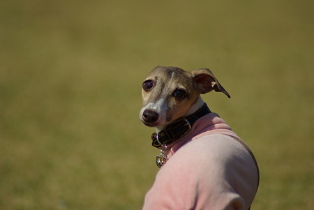1024-IMGP6006