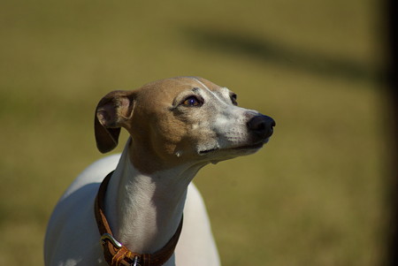 1024-IMGP6039