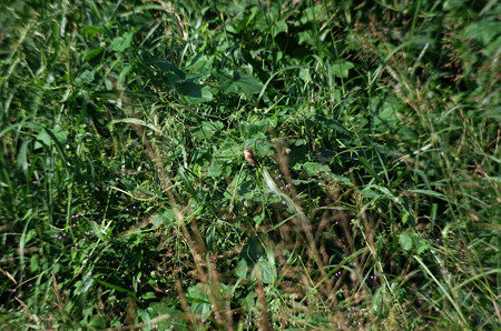 928pe00