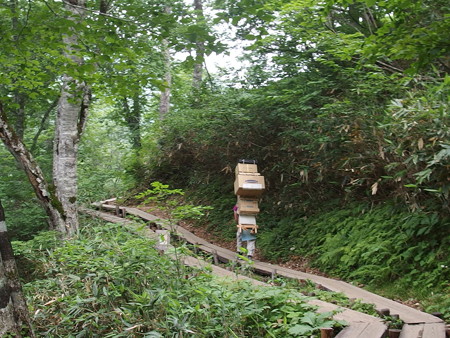 P7230283