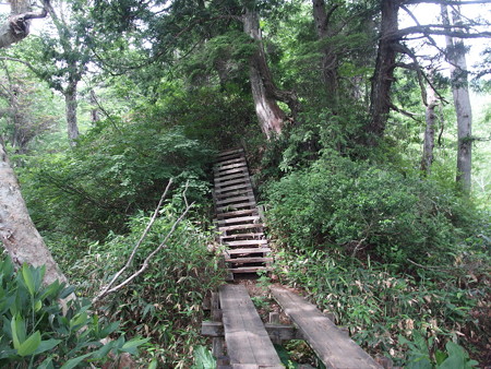P7230303