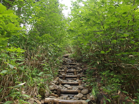 P7230304