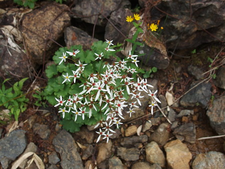 P7230306