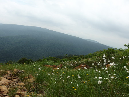 P7230317