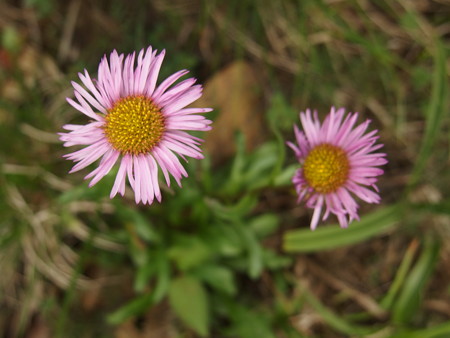 P7230351