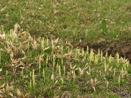 P7230383