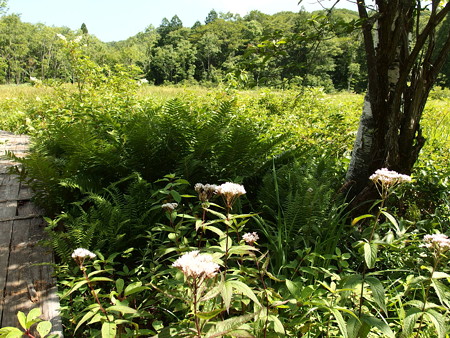 P7290289