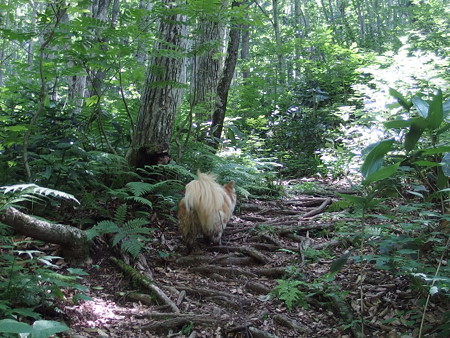 P7290309