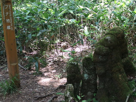 P7290332
