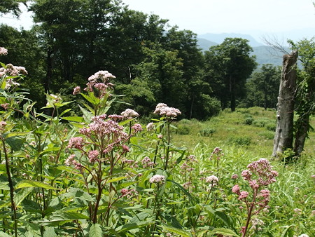 P7290349