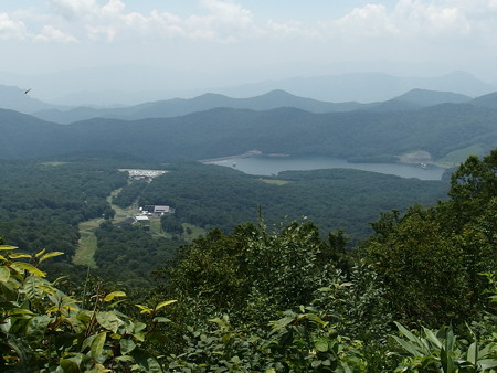 P7290369