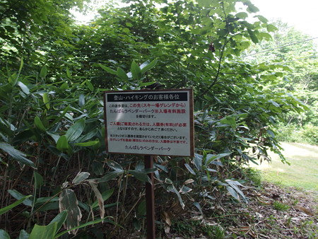 P7290438