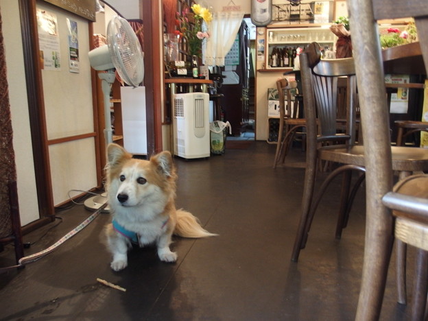 Photos: P8300351