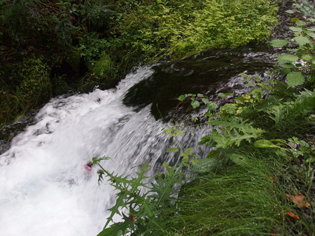 P8300357