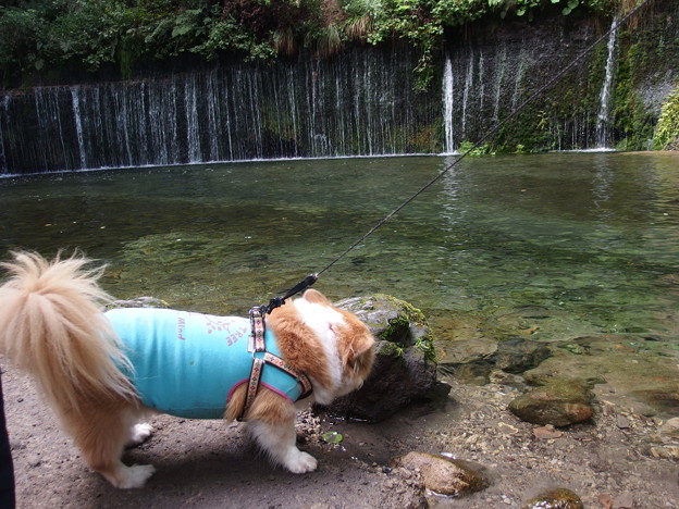 Photos: P8300362