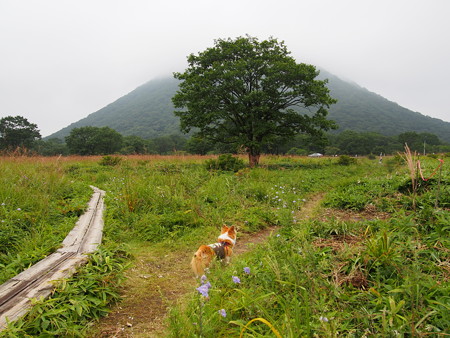 P1010053