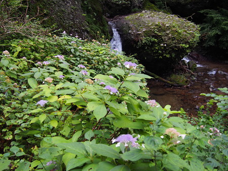 P9030120