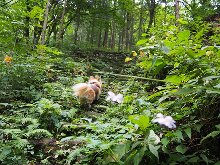 P9030142