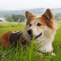 Photos: P9060089