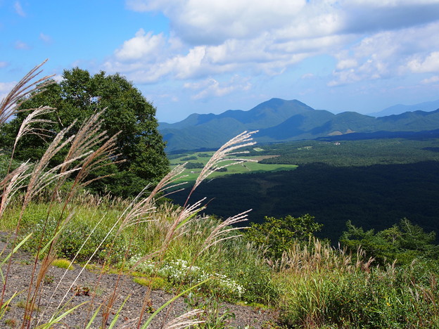 Photos: P9090156