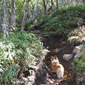Photos: P9160146