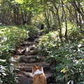 Photos: P9160203
