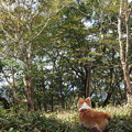 Photos: P9160206