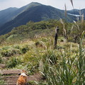 Photos: P9160211