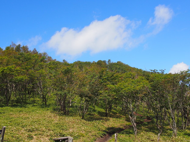 Photos: P9160213
