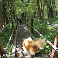 Photos: P9160215