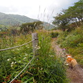 Photos: P9160280