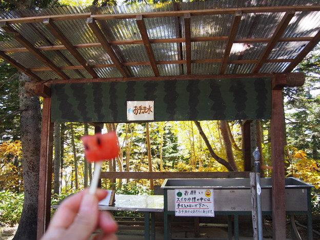 Photos: P9270150