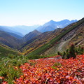 Photos: P9280303