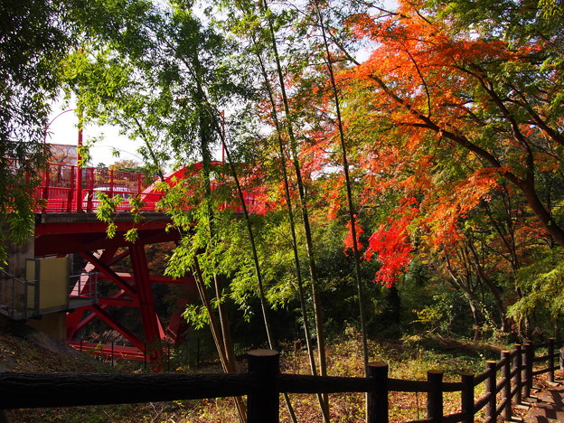 Photos: PB168440