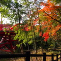 Photos: PB168440